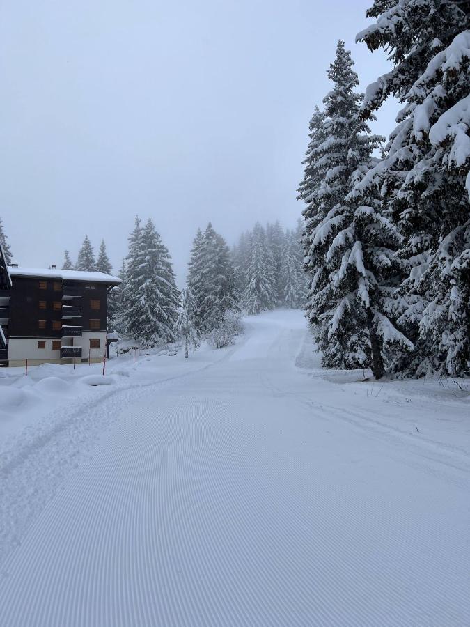 Residence La Foret Des Rennes - Les Saisies Villard-sur-Doron المظهر الخارجي الصورة